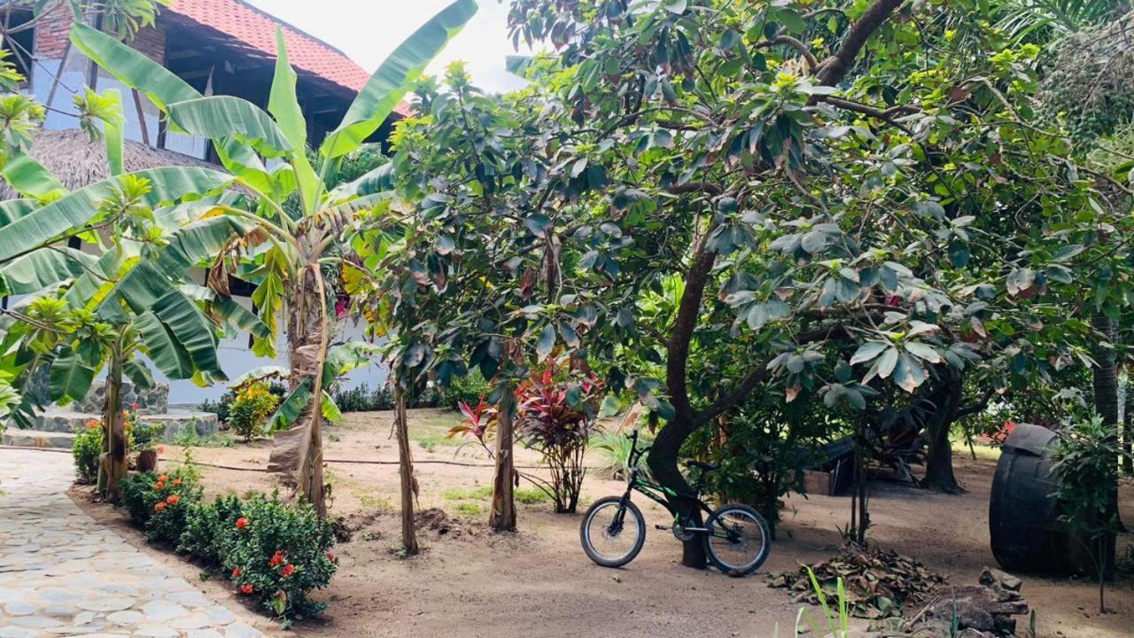 El Paraiso De Carmen パロミノ エクステリア 写真