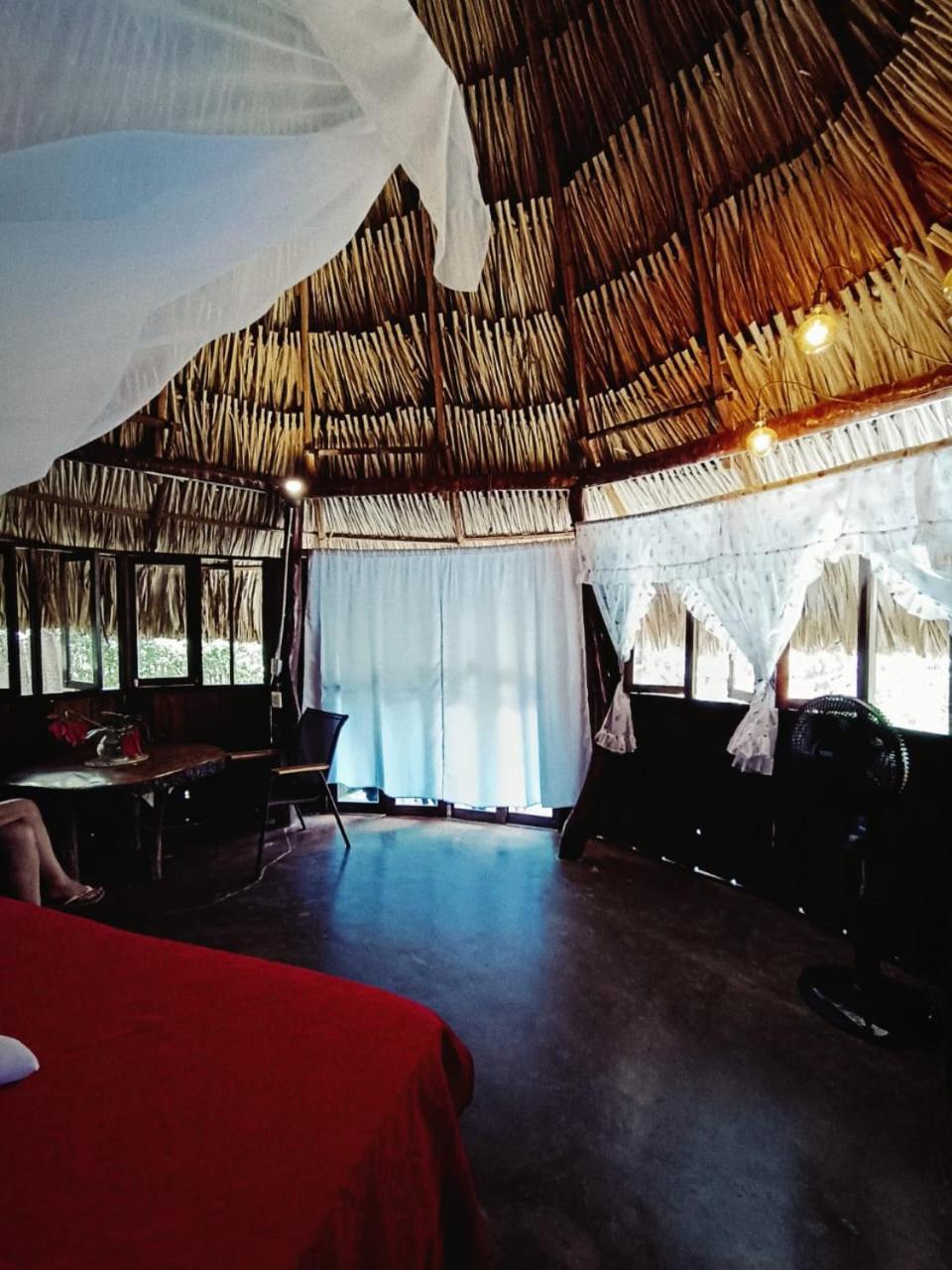 El Paraiso De Carmen パロミノ エクステリア 写真