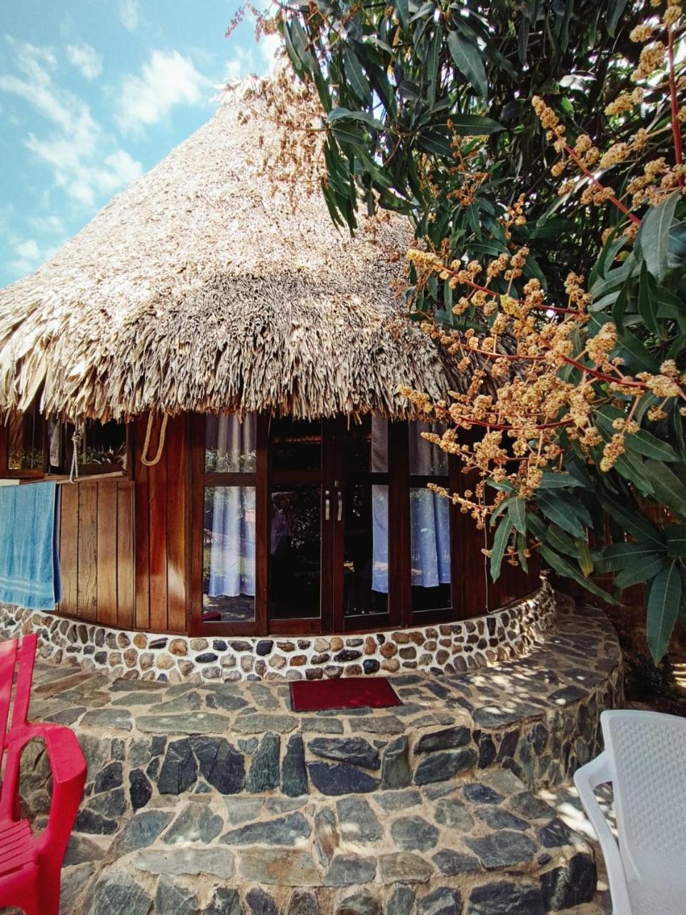 El Paraiso De Carmen パロミノ エクステリア 写真