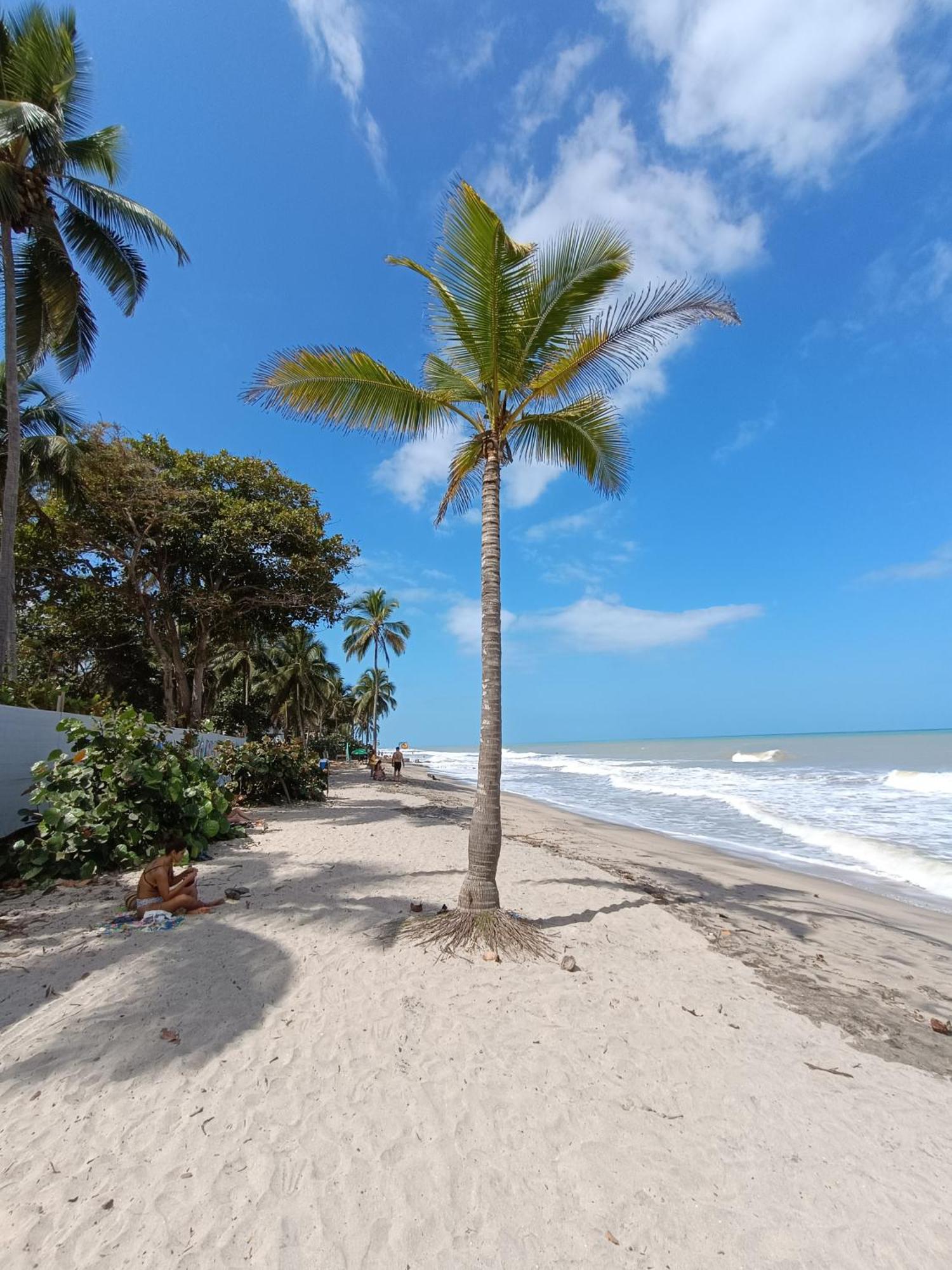 El Paraiso De Carmen パロミノ エクステリア 写真