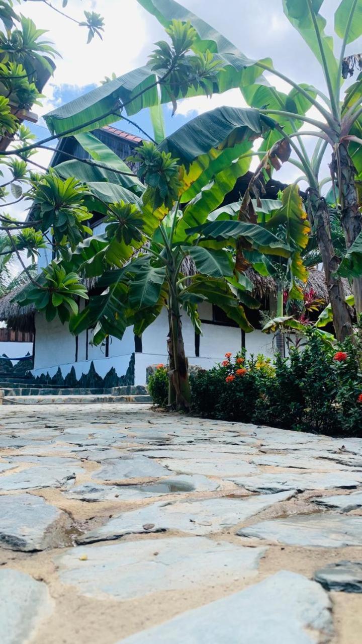 El Paraiso De Carmen パロミノ エクステリア 写真