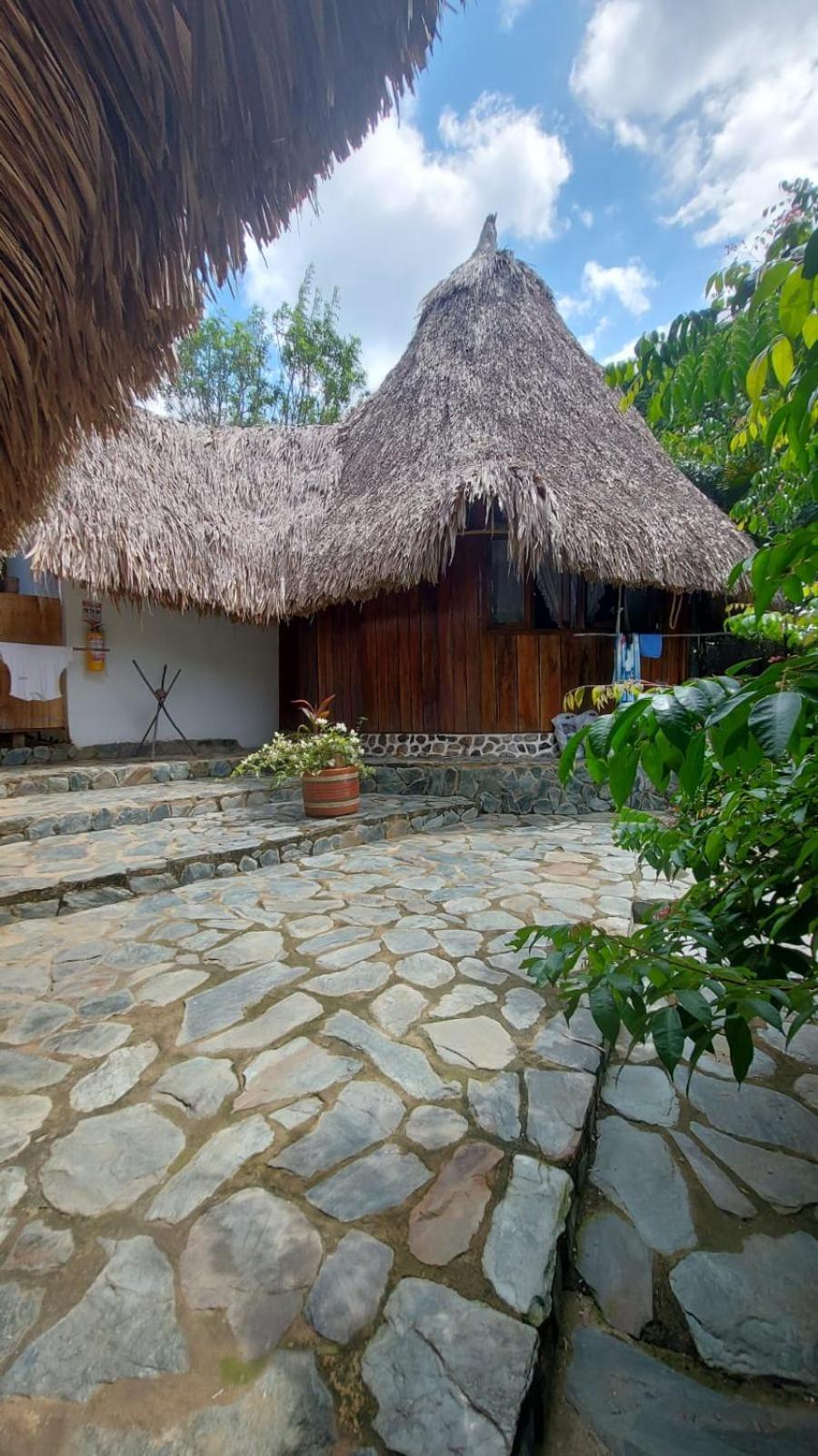 El Paraiso De Carmen パロミノ エクステリア 写真