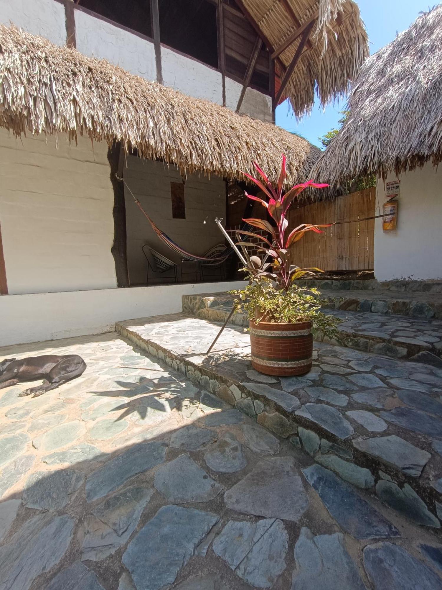 El Paraiso De Carmen パロミノ エクステリア 写真